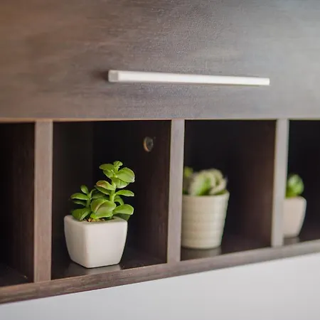 Apartment Europe Brașov